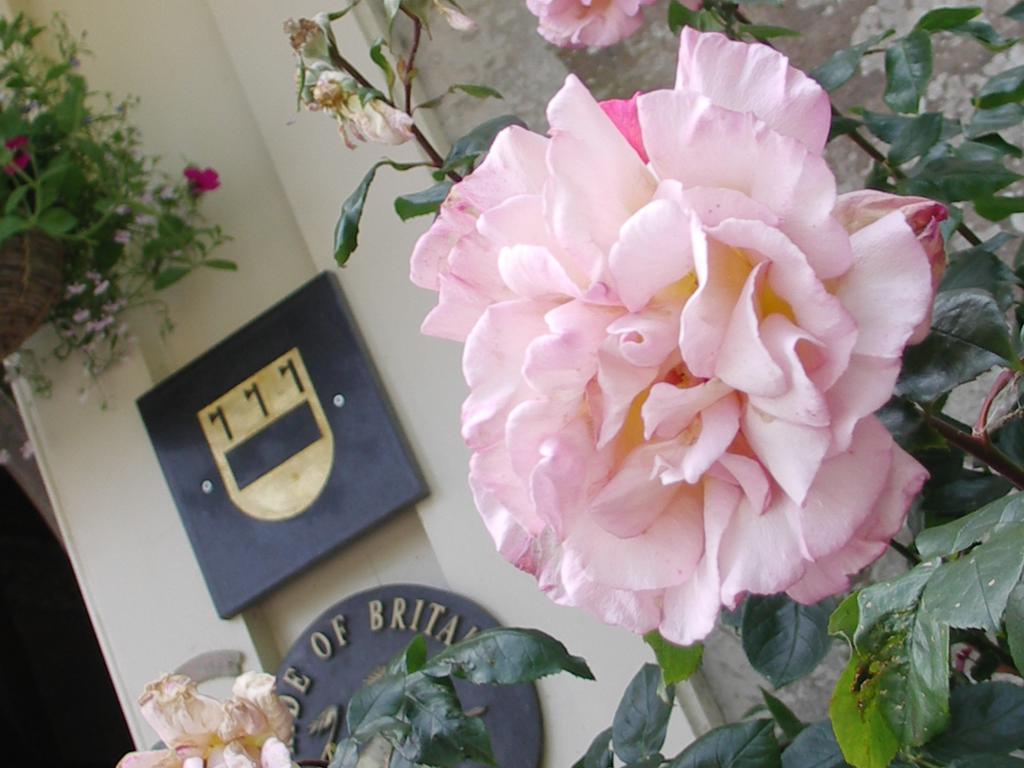 Buckland Tout Saints Hotel Totnes Bagian luar foto